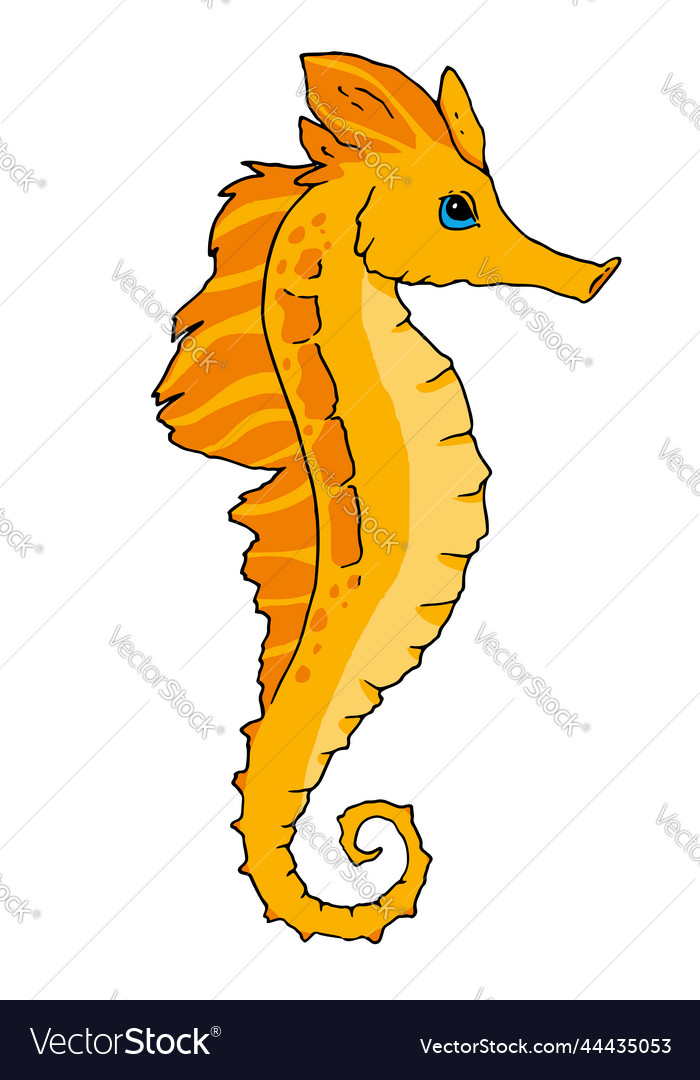 Hand-Drawn Orange Seahorse