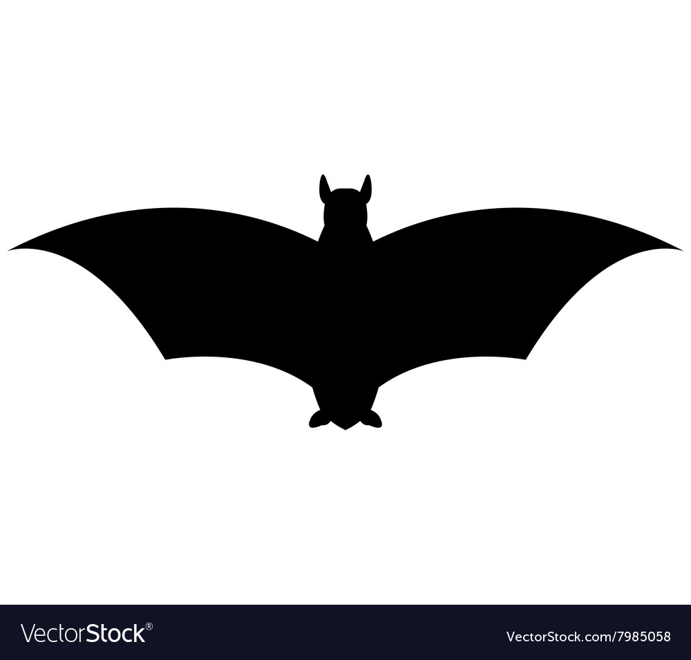 Bat on a white background Royalty Free Vector Image