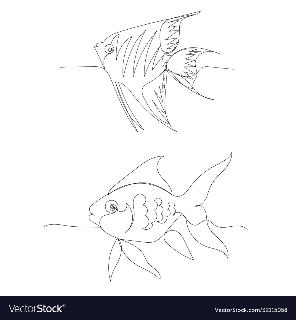 Drawing with a continuous line fish