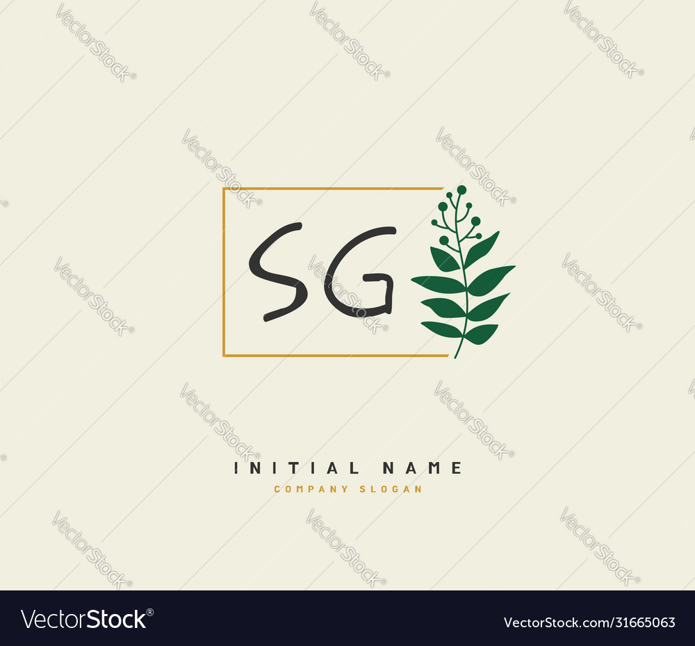 S g sg beauty initial logo handwriting