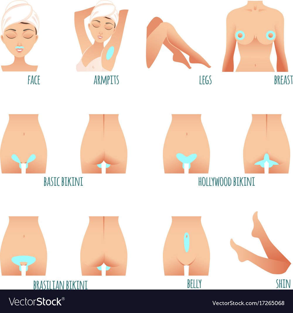 Area hair removal icons marked epilation zones Vector Image