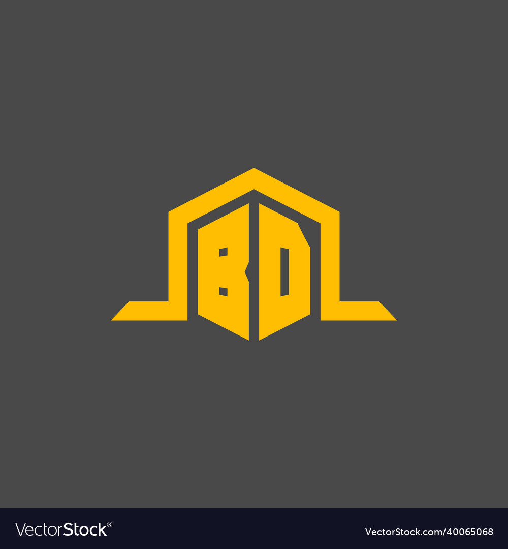 Bd monogram initial logo with hexagon style design