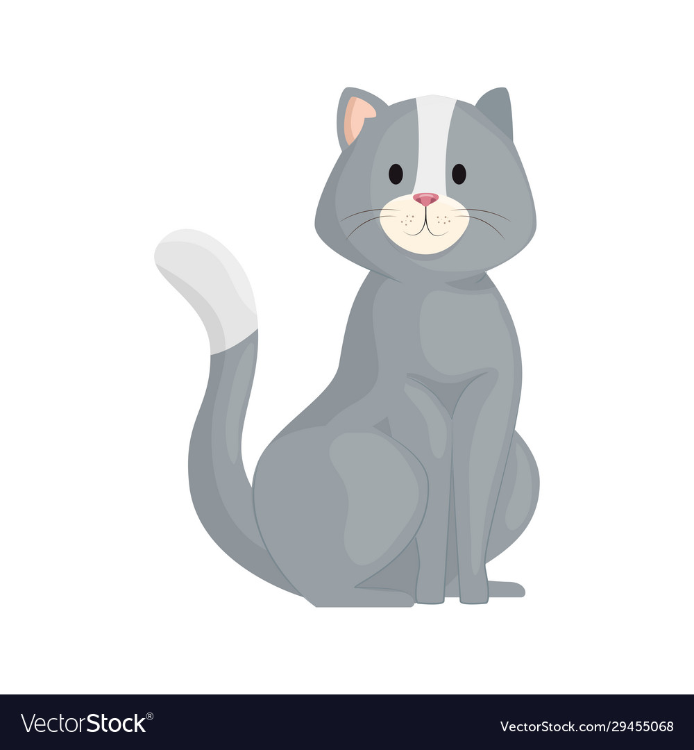 Cats - Free animals icons