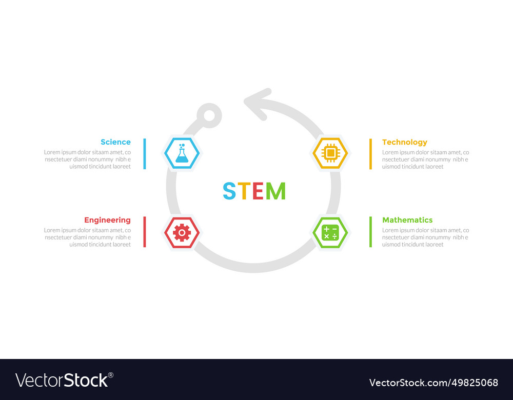 Stem education infographics template diagram Vector Image