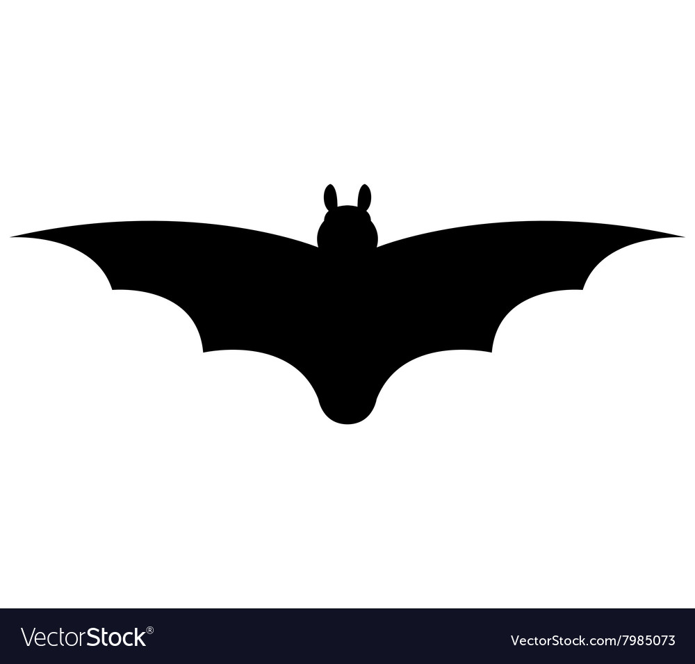 Bat on a white background Royalty Free Vector Image