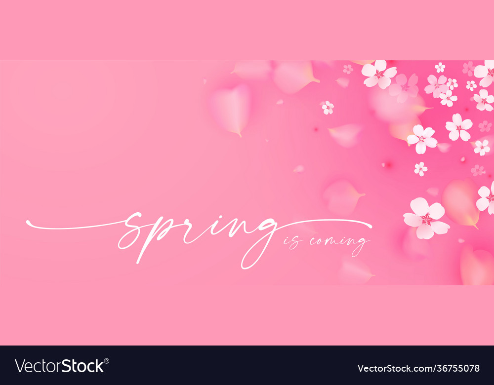 Flowes and petals realistic 3d background pink Vector Image