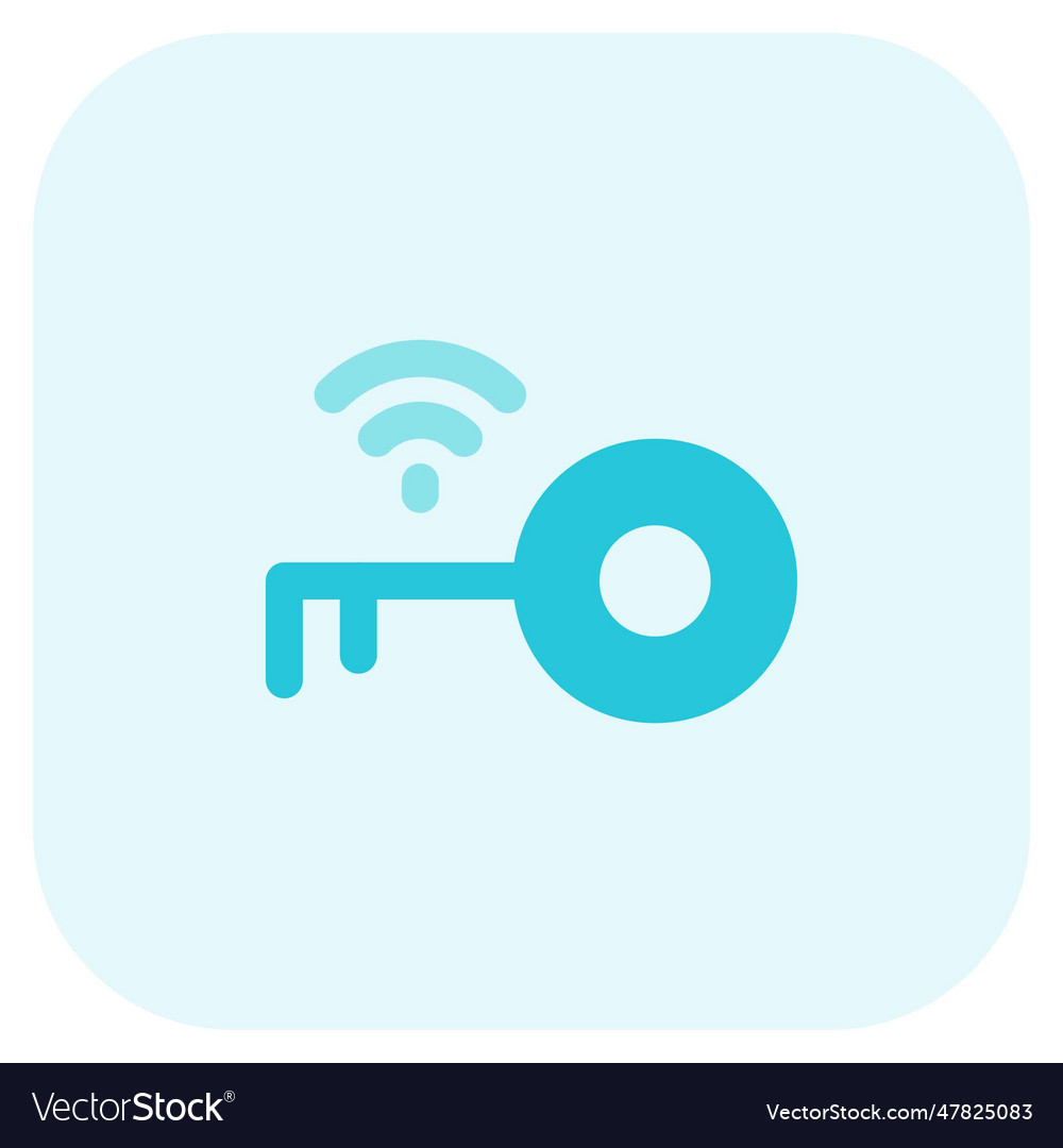 Smart key an electronic access and authorization