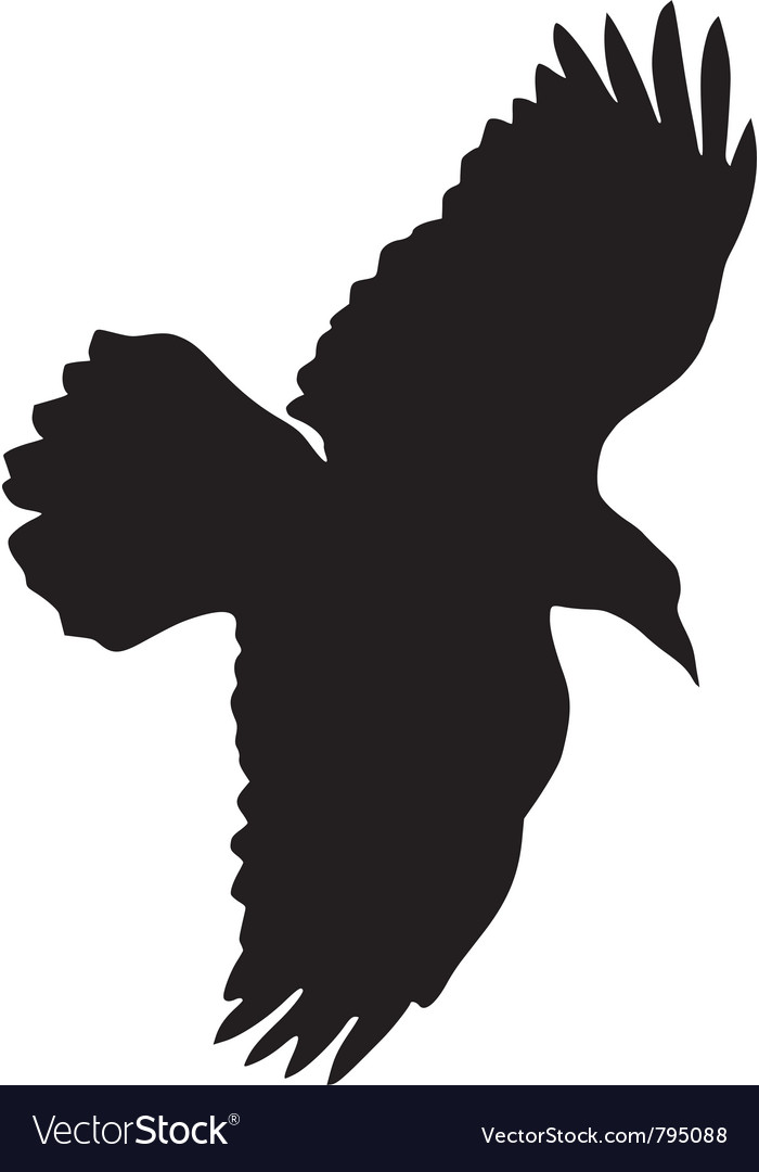 Black Silhouette Raven Royalty Free Vector Image