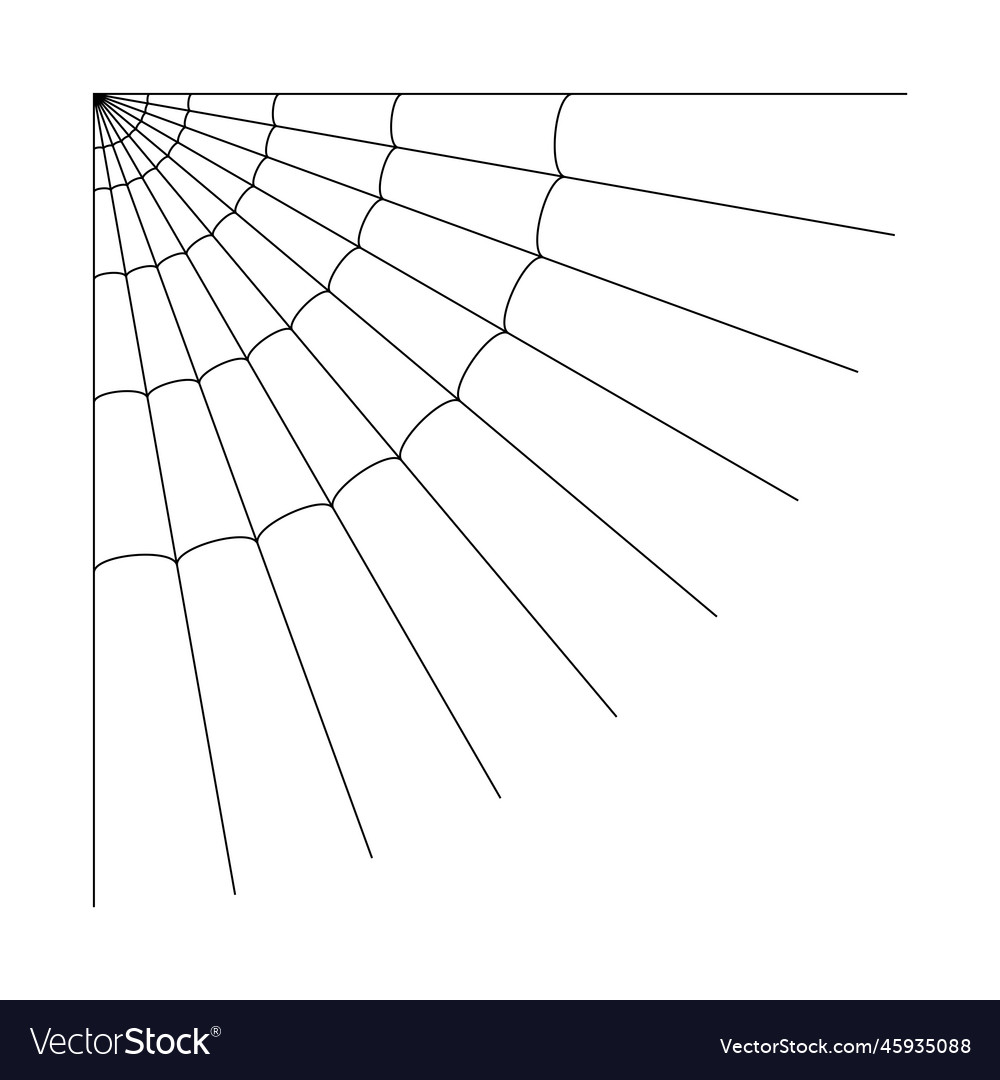 Cobweb icon
