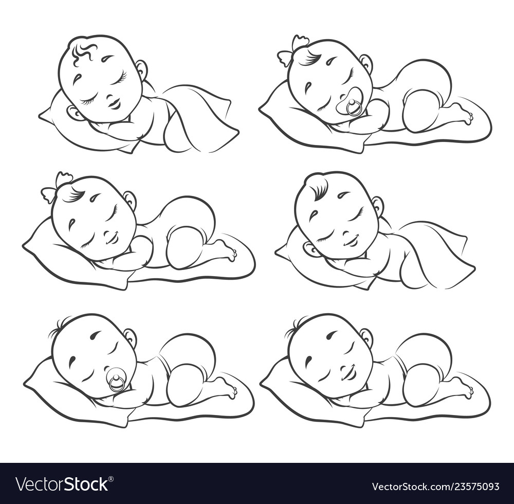 Newborn basketch Royalty Free Vector Image - VectorStock