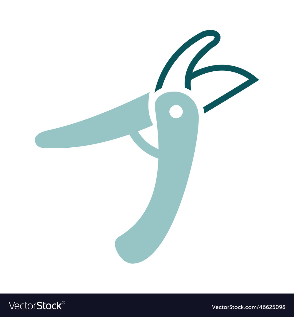 Pruning scissors garden secateurs icon