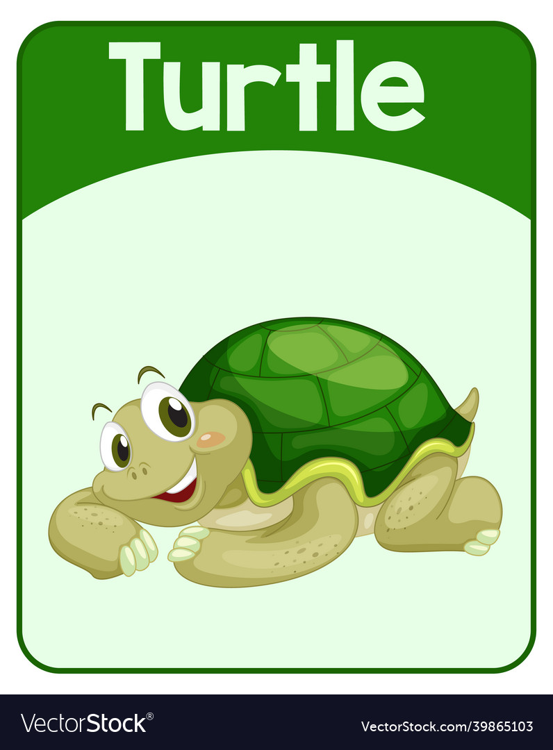 educational-english-word-card-of-turtle-royalty-free-vector