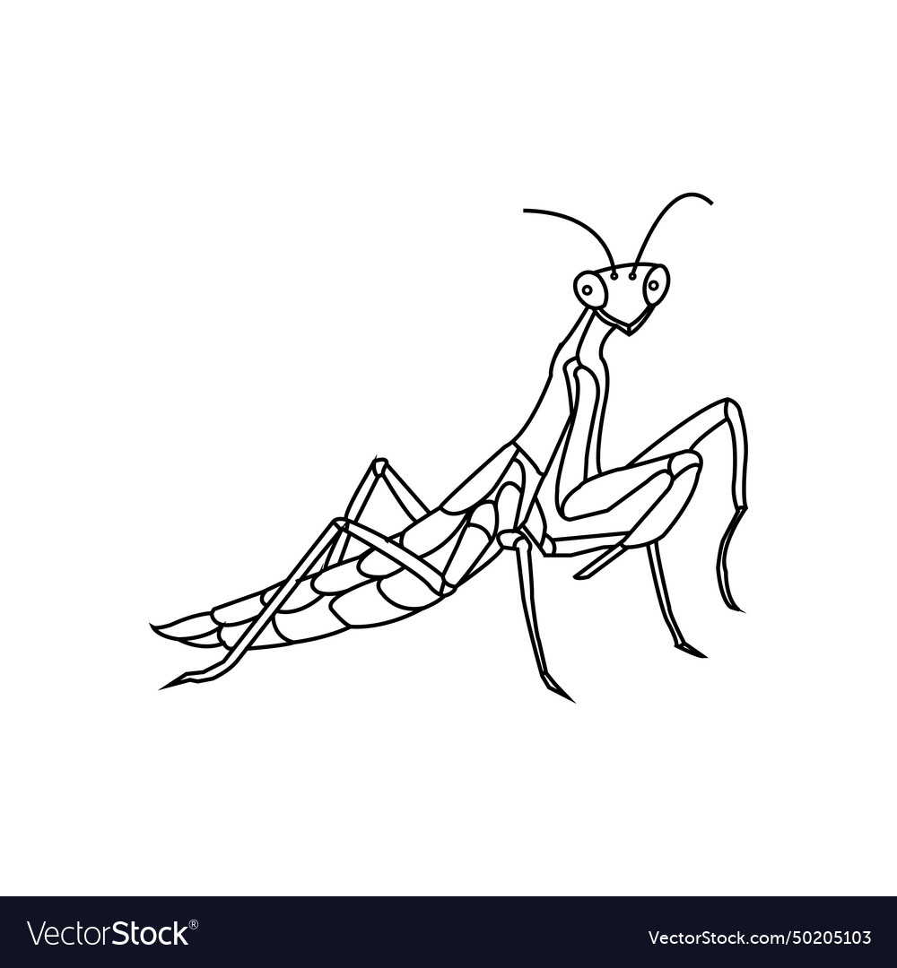 Grasshopper icon Royalty Free Vector Image - VectorStock