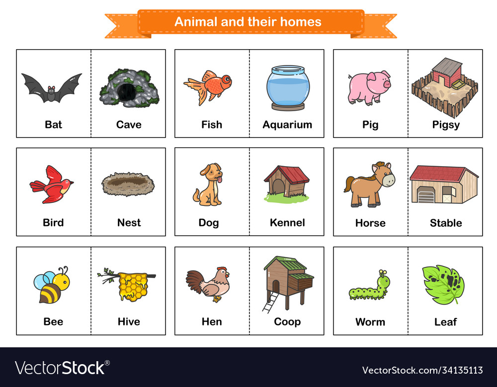 animals-and-their-homes-worksheets-english-pic-ora