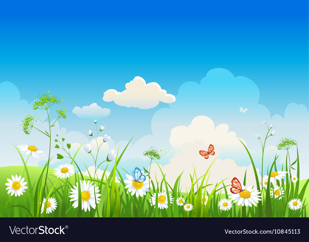 Serene Meadow Landschaft