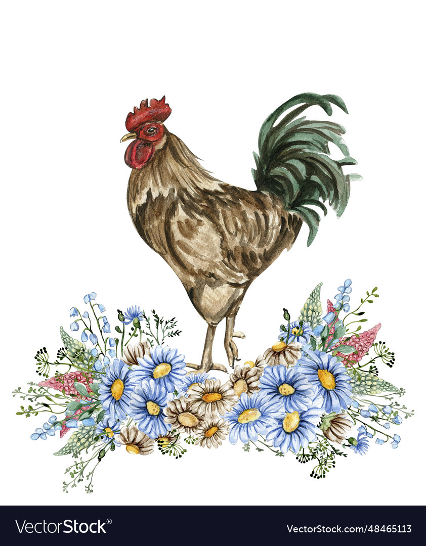 Watercolor flowers and rooster composition hand Vector Image