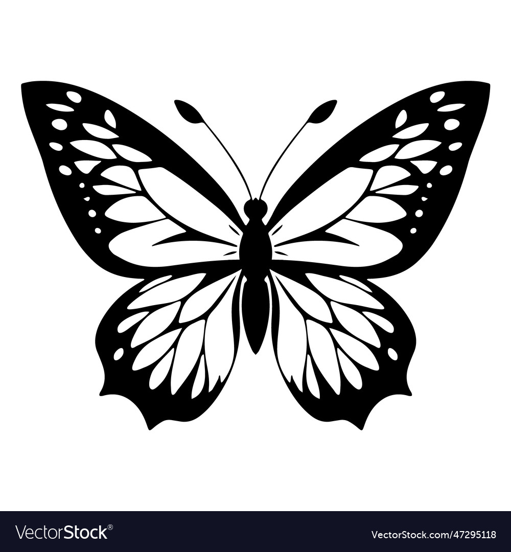 Butterfly black silhouette on a white background Vector Image