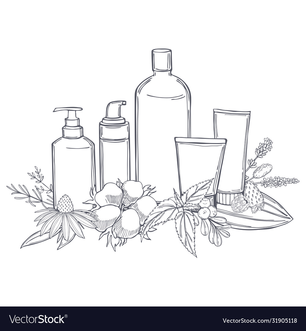 Hand drawn cosmetic bottles and plants Royalty Free Vector