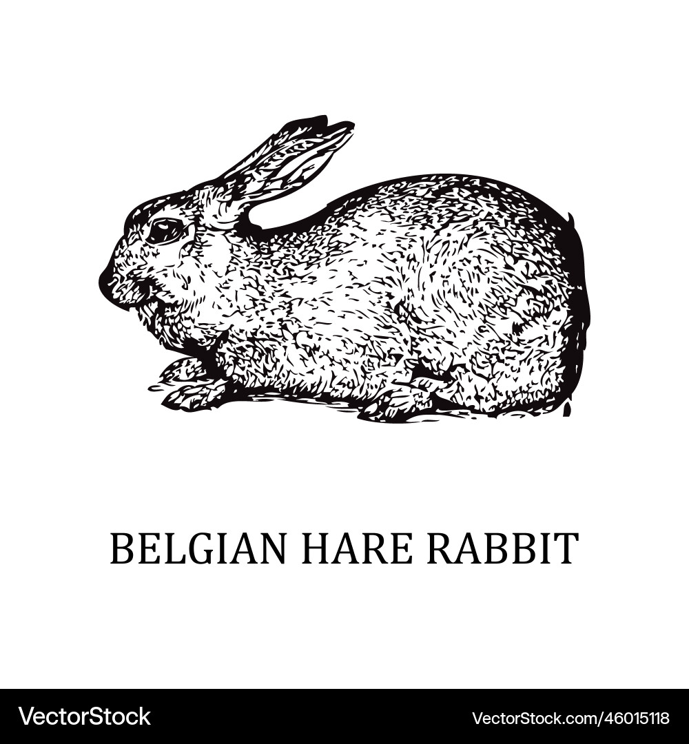 Hand drawn domestic animal Royalty Free Vector Image