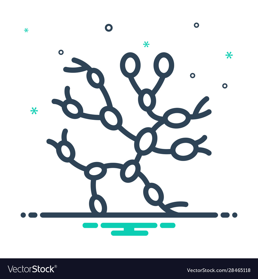 Lymph Nodes Royalty Free Vector Image Vectorstock Lymph Nodes Royalty Free Vector Image Vectorstock