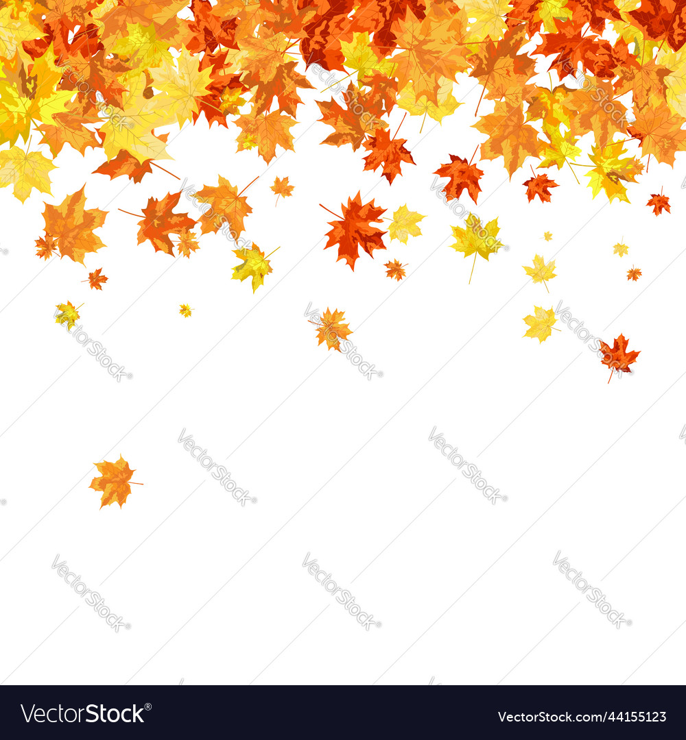 Autumn maple frame Royalty Free Vector Image - VectorStock