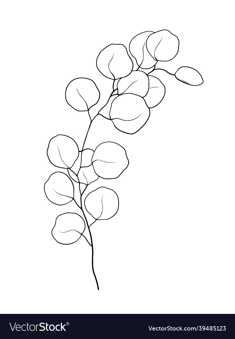 Floral drawing line art on white color background