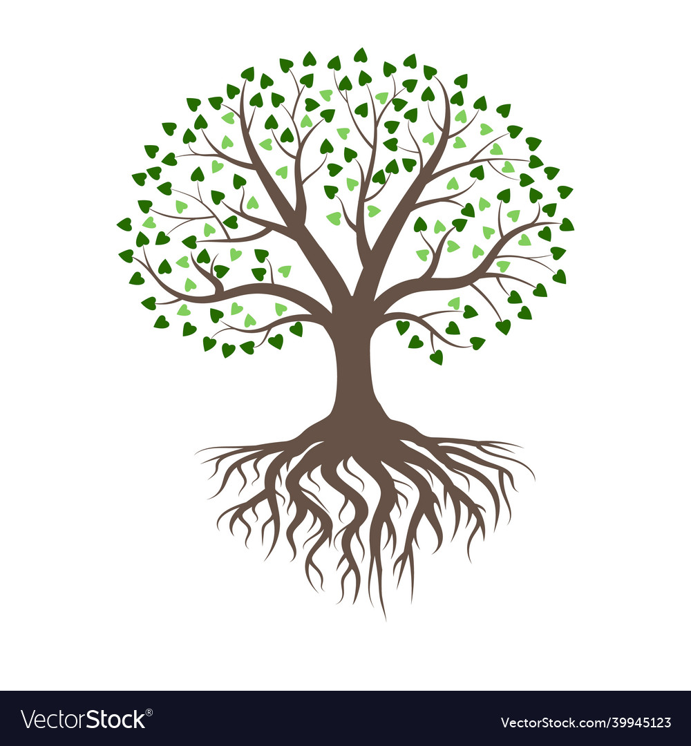 Green rooted tree Royalty Free Vector Image - VectorStock