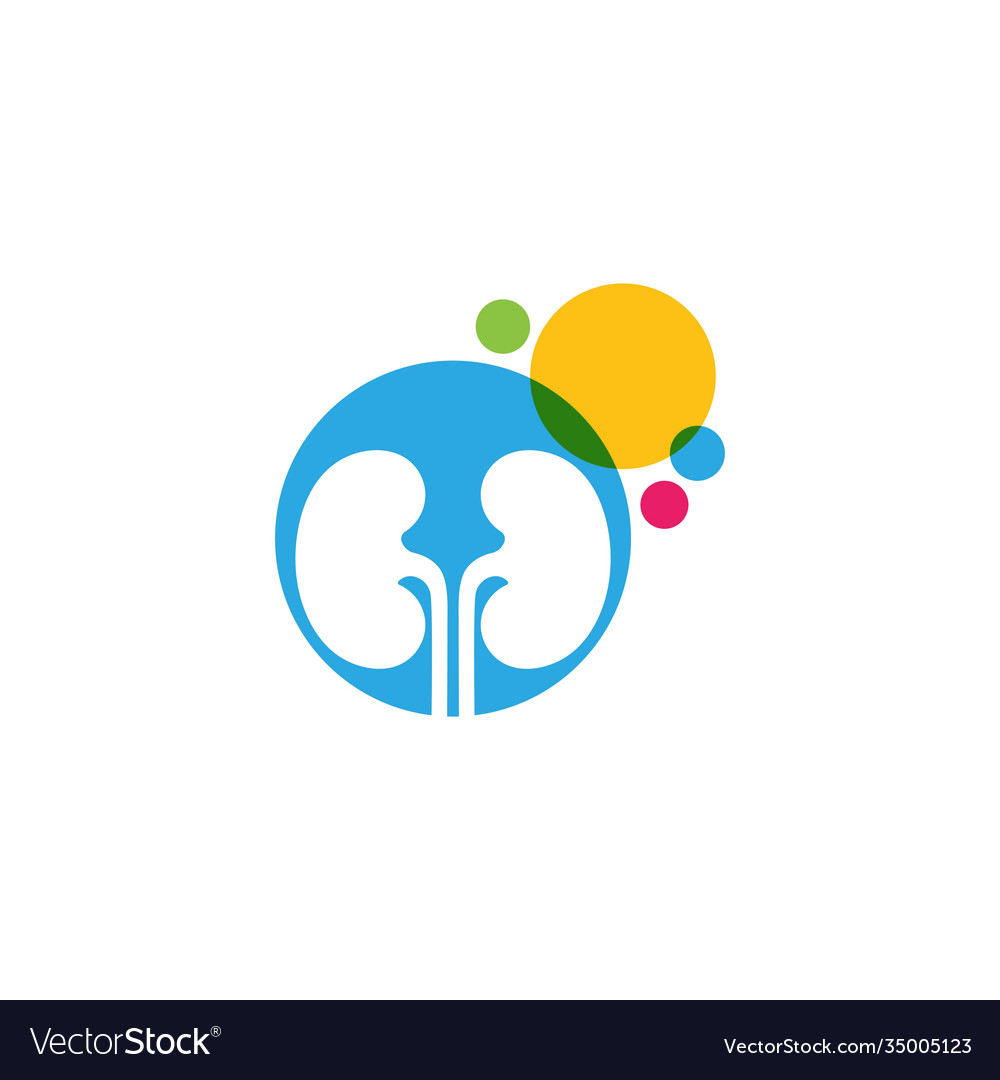 Kidney Royalty Free Vector Image - VectorStock