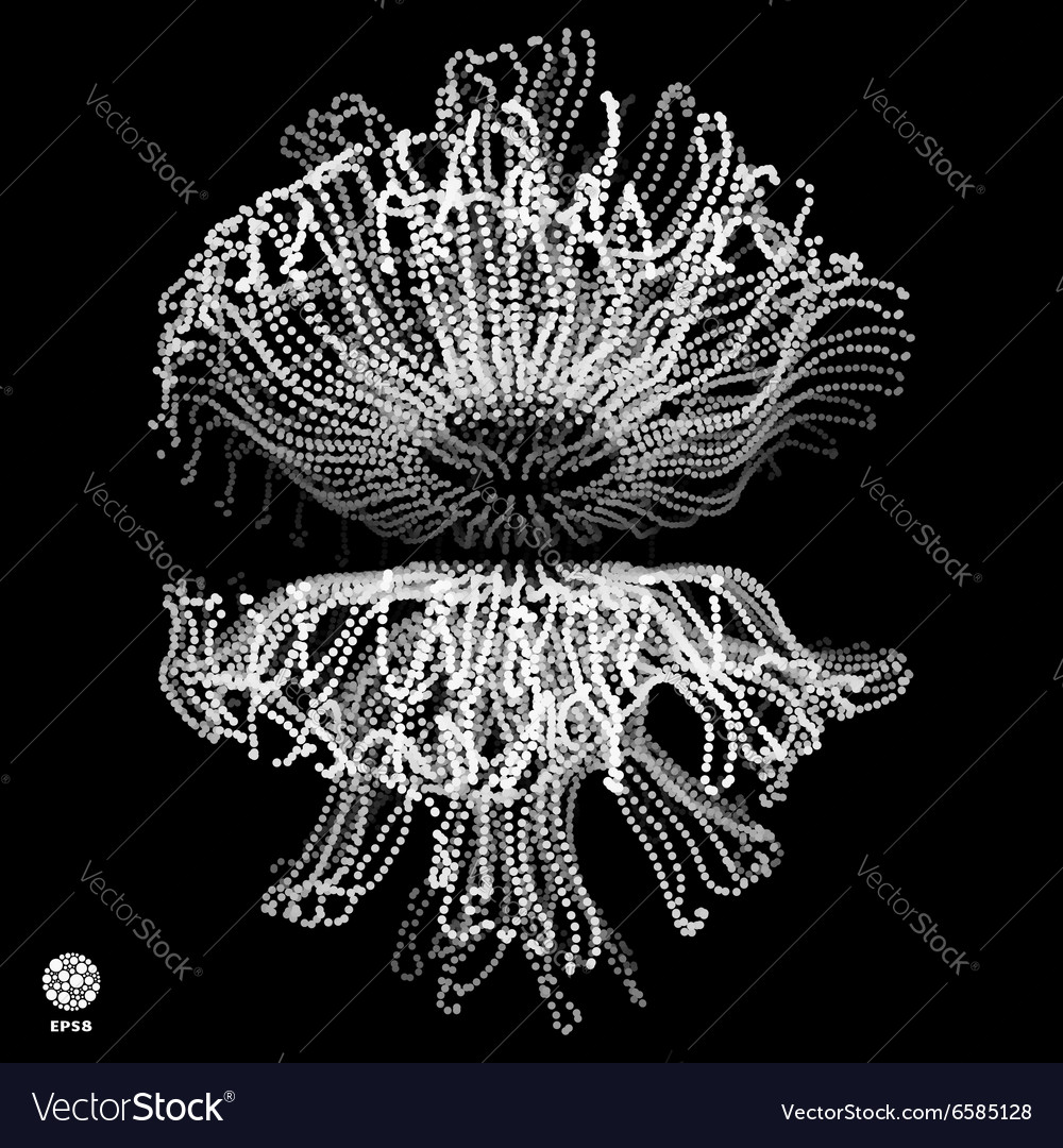 Complex Network Structure