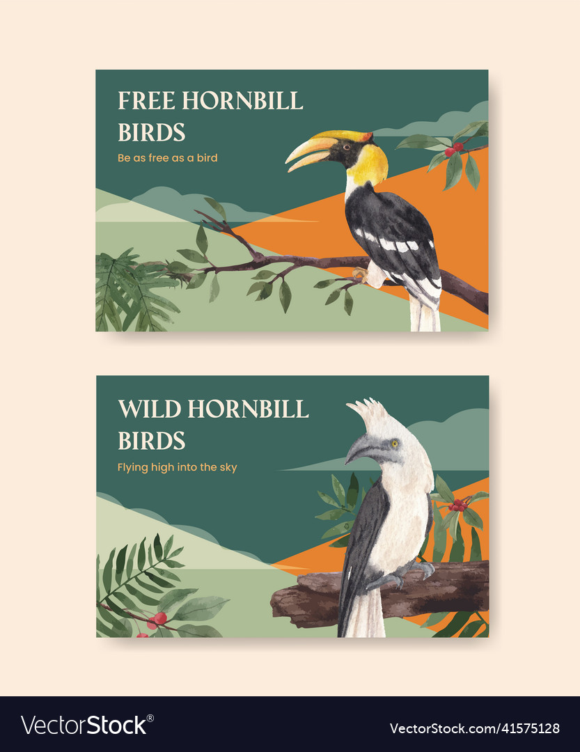 Facebook template with hornbill bird