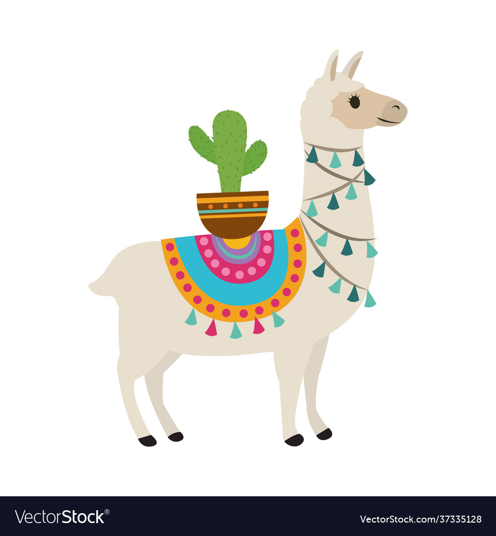 Llama and cactus