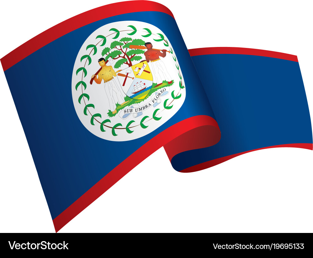 Belize flag Royalty Free Vector Image - VectorStock
