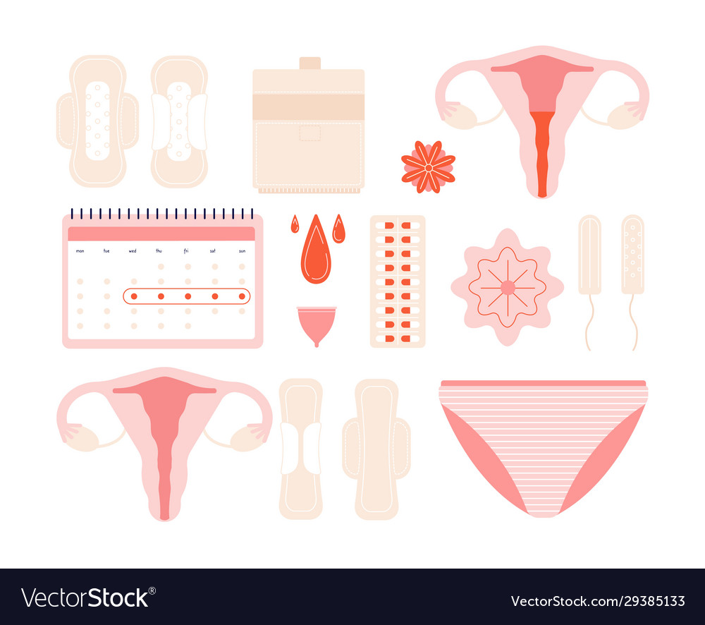 Menstruation Girl Periods Female Menstrual Vector Image 5042