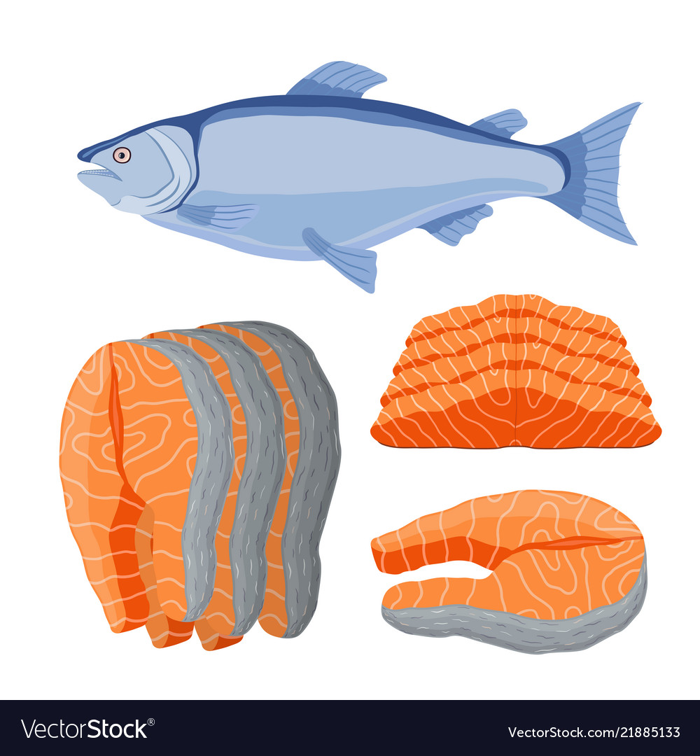 Salmon seafood fresh fish orange fillet Royalty Free Vector