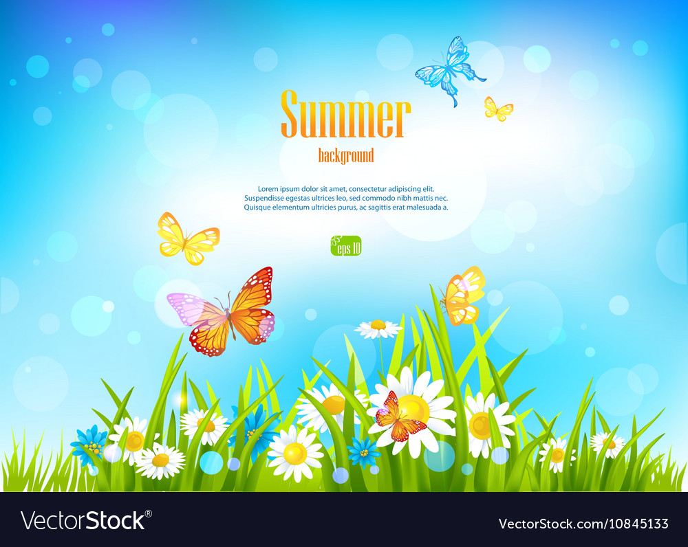 Sunny day background with flowers
