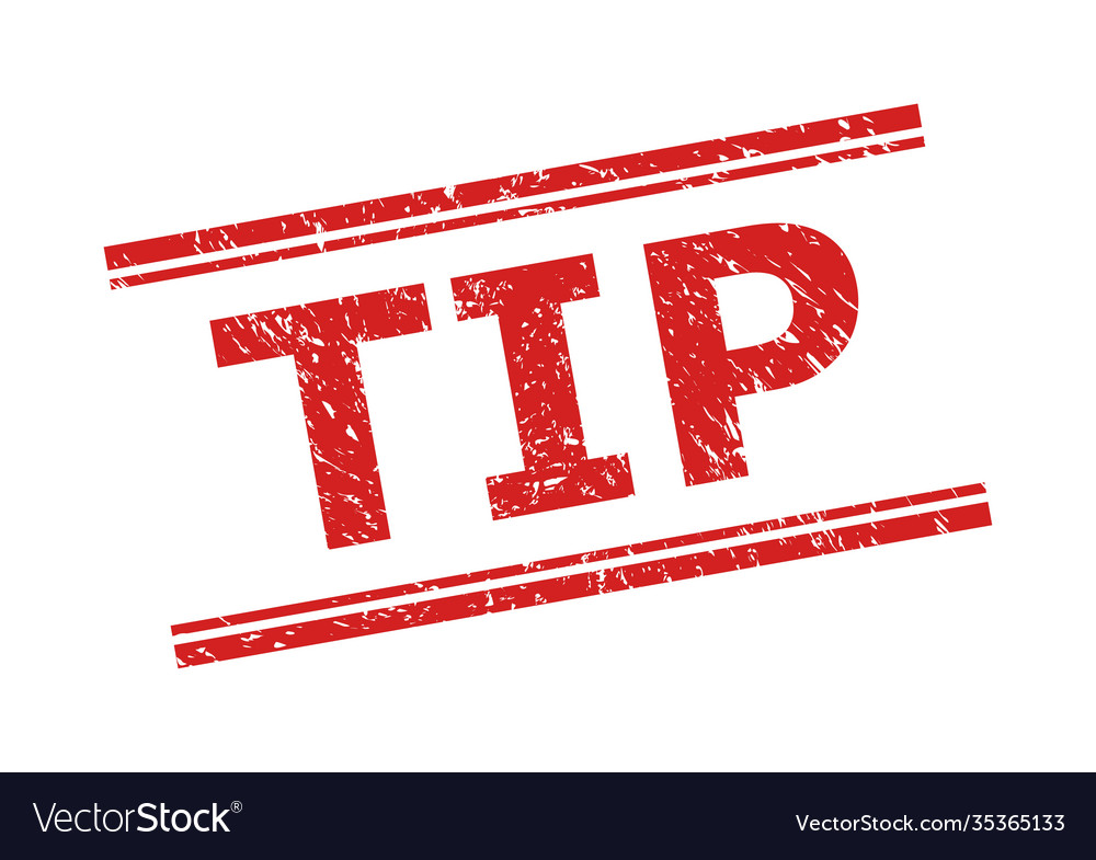 Tip seal with grunged surface and double parallel