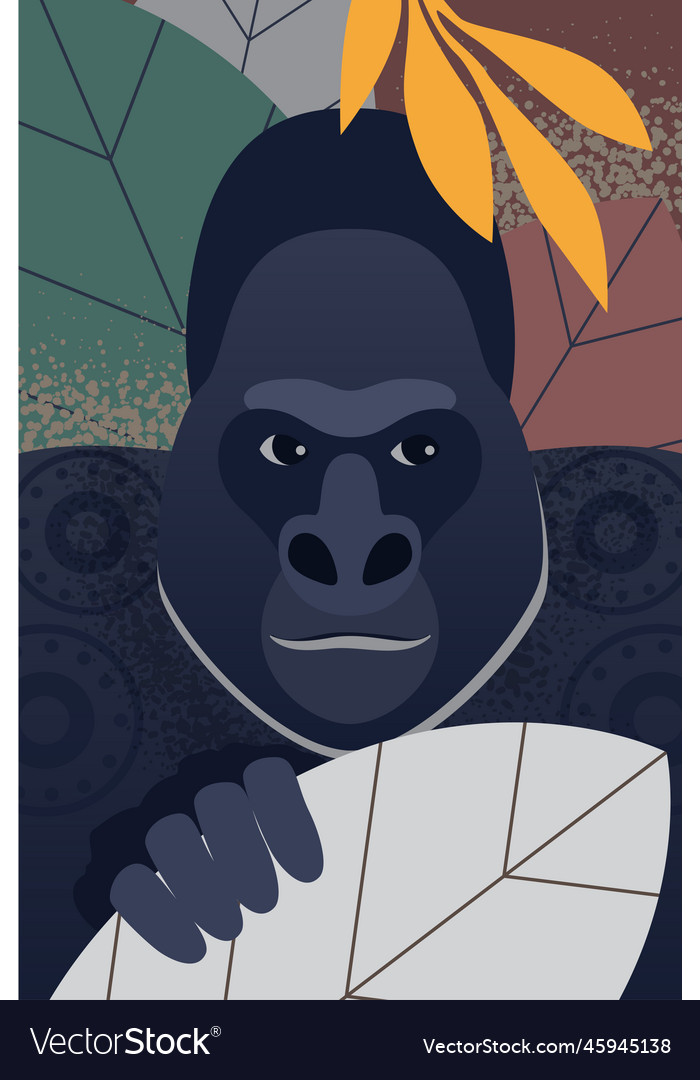 African gorilla portrait Royalty Free Vector Image