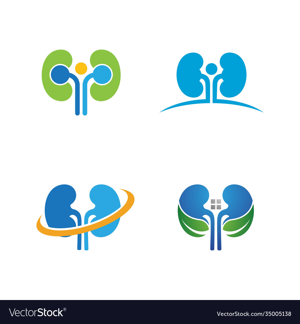 Kidney Royalty Free Vector Image - VectorStock