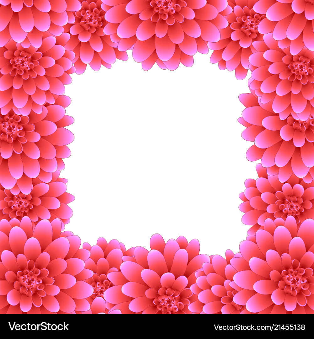 Pink dahlia border style 2 Royalty Free Vector Image