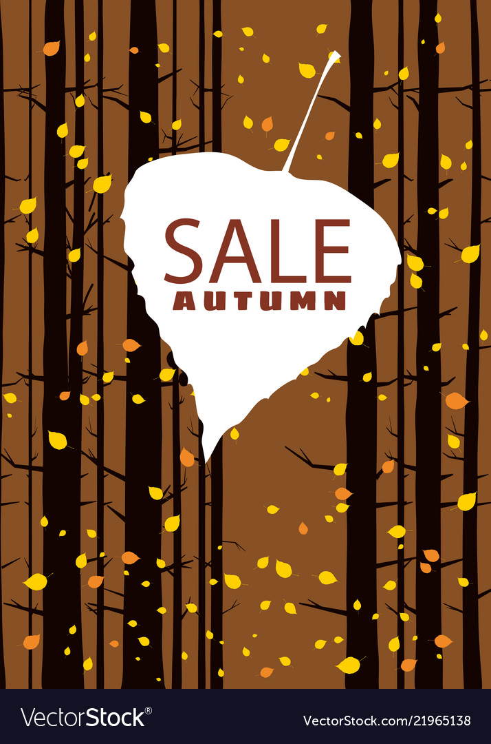 Sale autumn on an leaf fall background