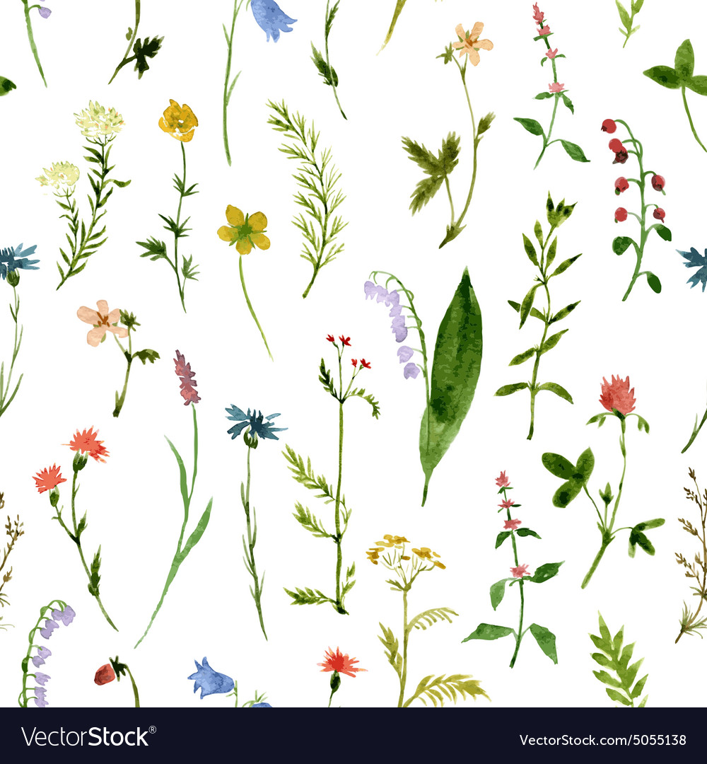 Seamless watercolor pattern Royalty Free Vector Image