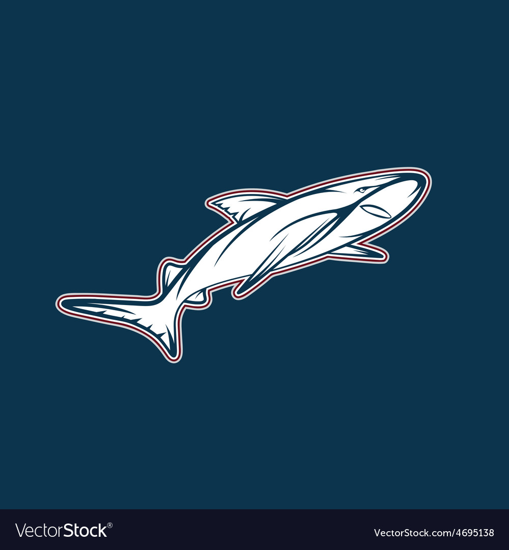shark sport team mascot design template royalty free vector