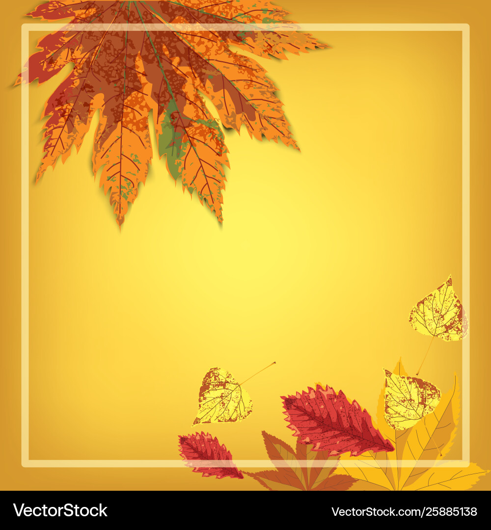 Stylish background with falling autumn leaves Vector Image