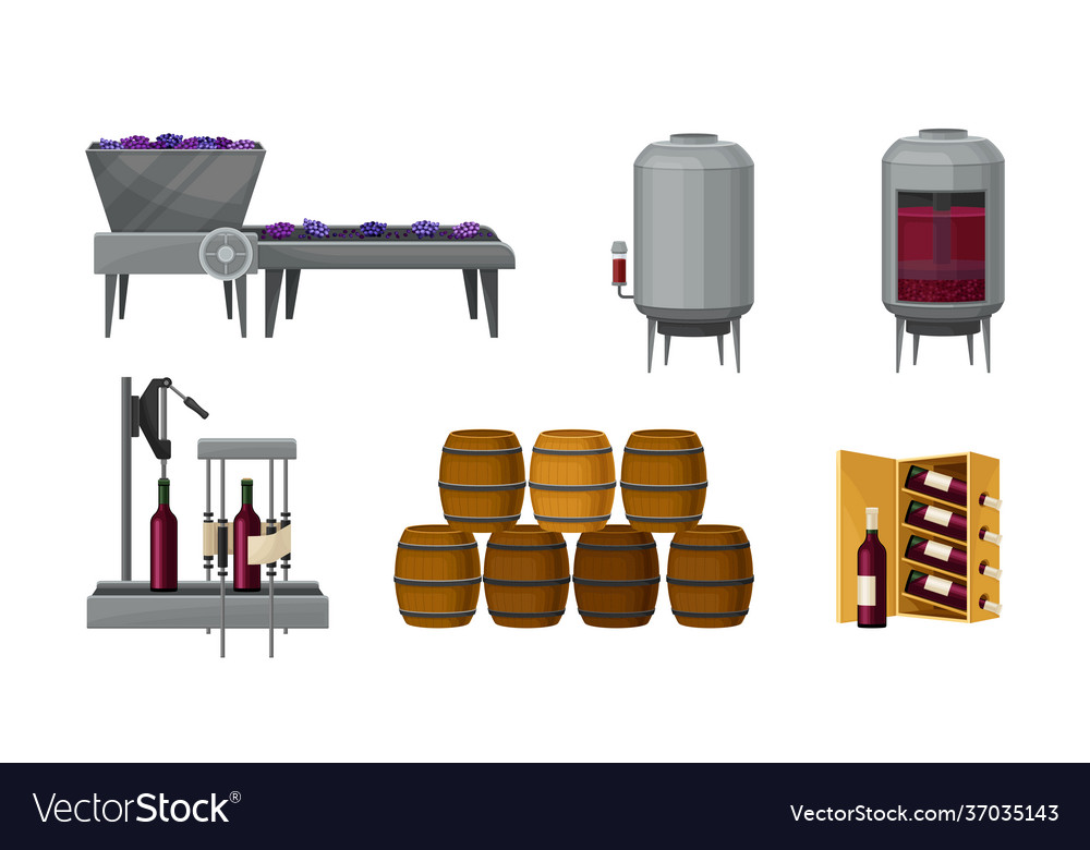 Grape wine production with alcoholic fermentation