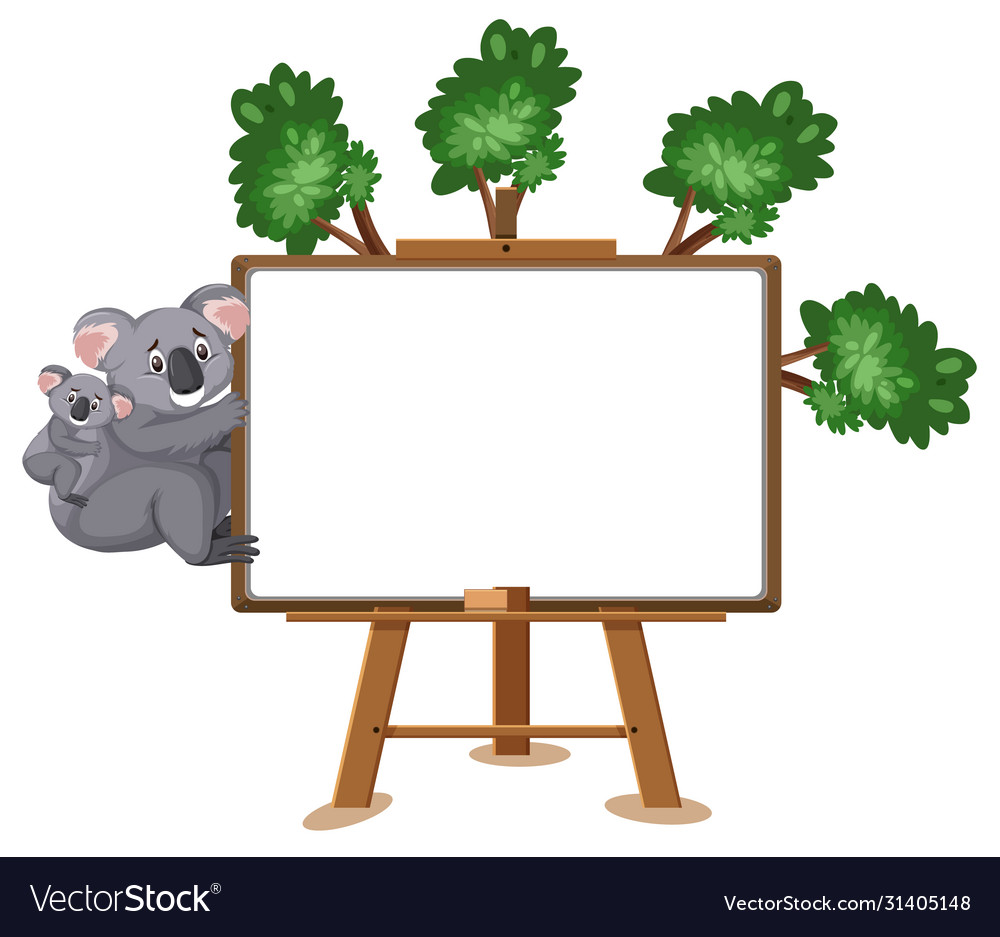 Koala cartoon character and blank banner on white