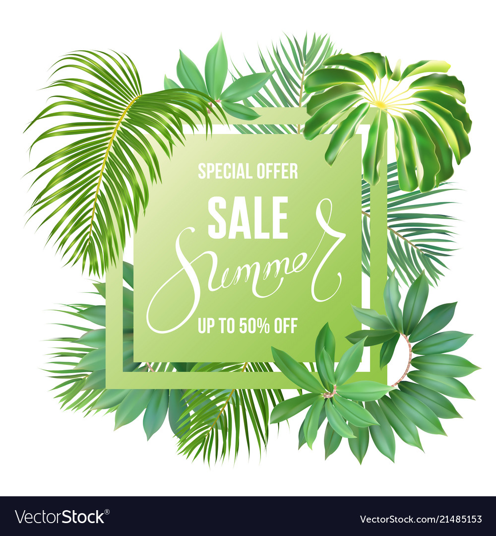 summer sale banner with tropic leaves royalty free vector summer sale banner