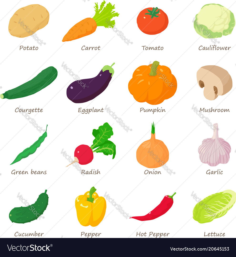 Vegetables signed names icons set isometric style Vector Image