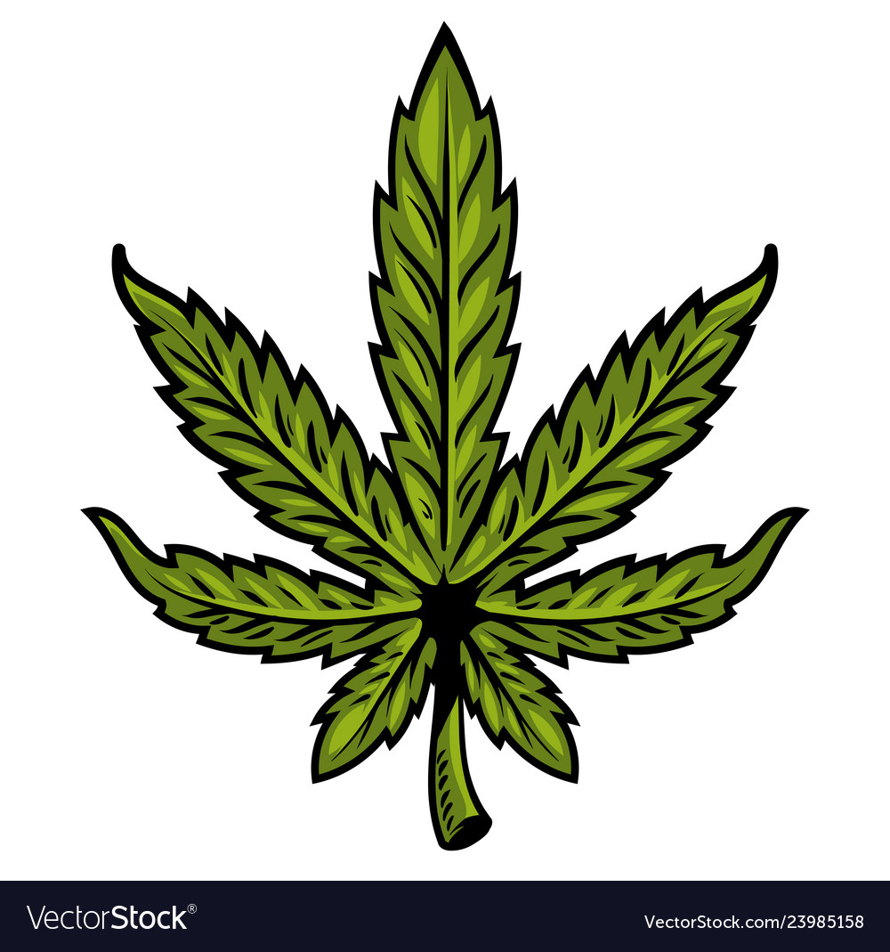 Leaf of marijuana Royalty Free Vector Image - VectorStock