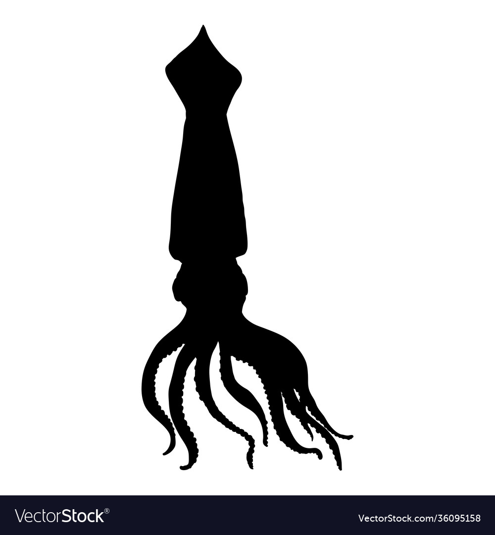 Squid Silhouette