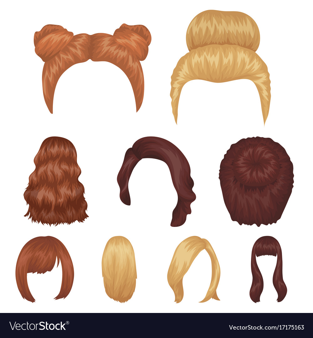 Quads blond braids and other types of hairstyles Vector Image